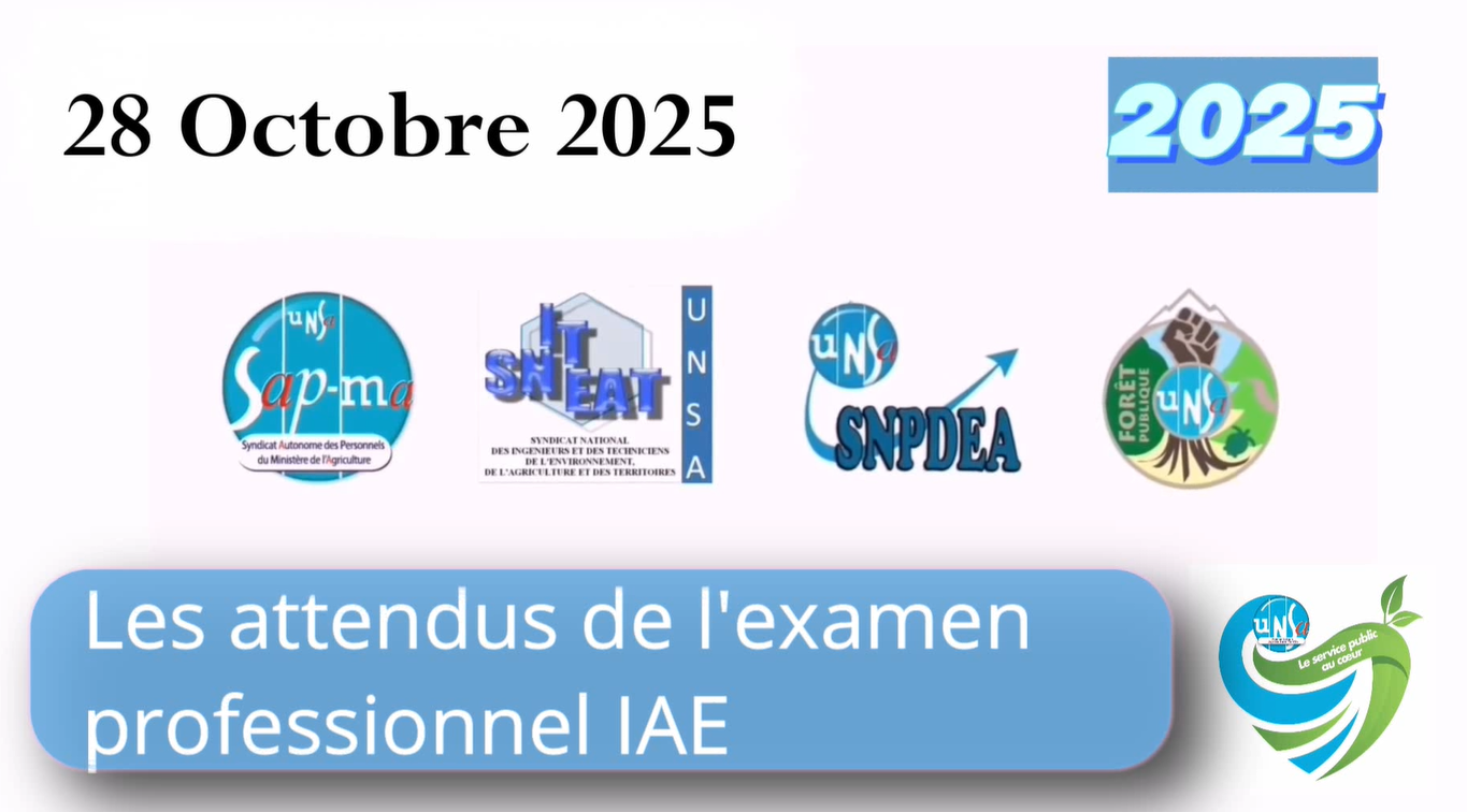 2025 - Video Oral examen Professionnel IAE  - Oct 2025 🏆 