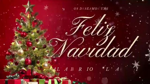 Felices Fiestas