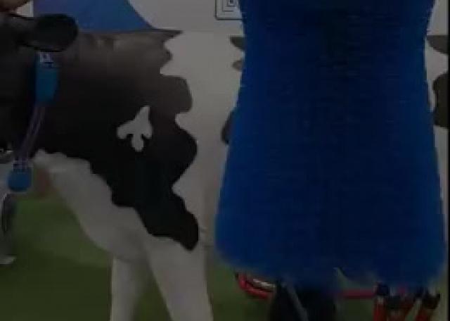 Offrez à vos vaches le confort qu’elles méritent avec notre brosse Groomer