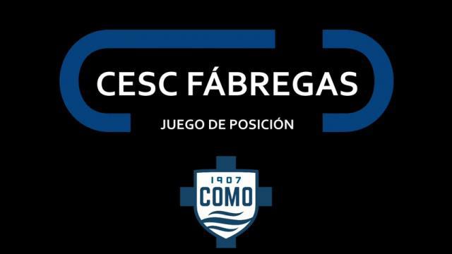 CESC FÁBREGAS, JUEGO DE POSICIÓN