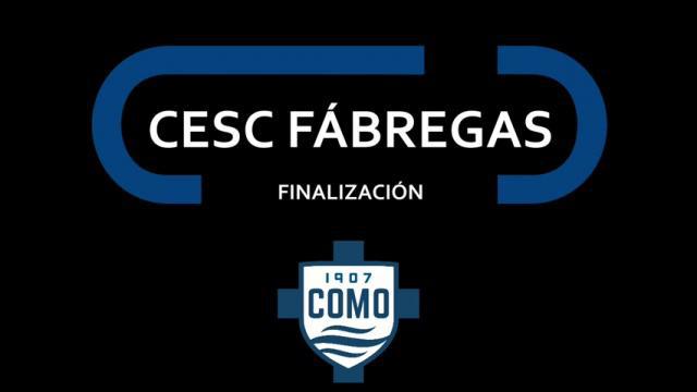 CESC FÁBREGAS, FINALIZACIÓN