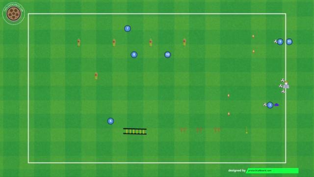 DESCHAMPS RUEDA DE ACTIVACIÓN