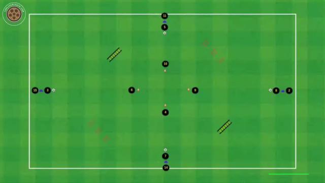 EDIN TERZIC, ACTIVACIÓN.