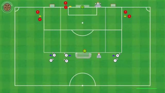 THOMAS FRANK DUELOS 1X1 Y 3X3