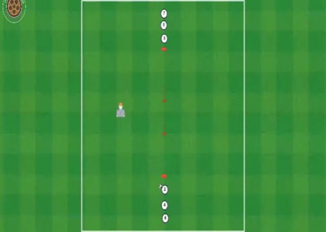 RUI BORGES PAREDES CONTINUAS