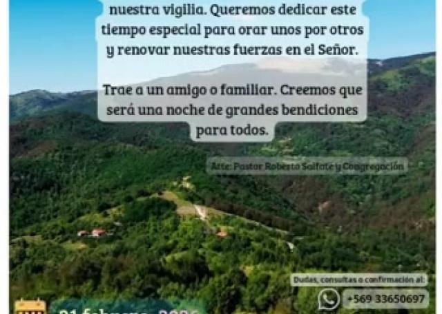 Artículo n°230
