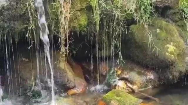 Cascada en Somiedo