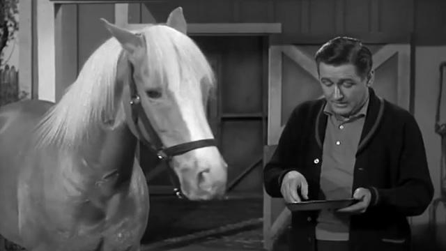 TV  - Mister Ed S01E17 A Man for Velma - Transform Your Listening Experience with SOL (Formerly LisN)