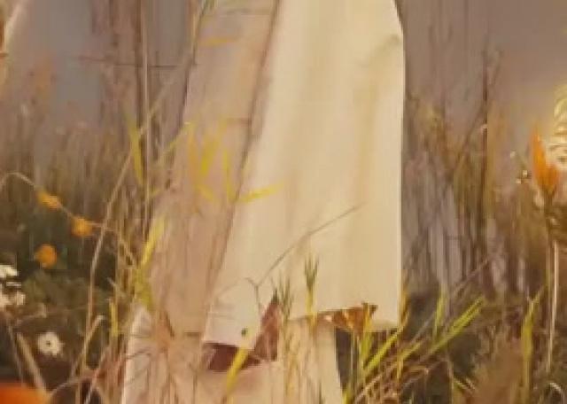 Promo pour la nouvelle collection Dior en collaboration avec l'artiste Pietro Ruffo