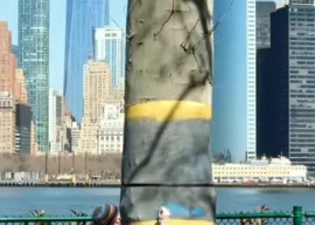 L'illusion d'un arbre à Manhattan.