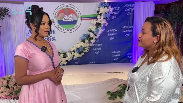 የአምባሳደሯ የገንዘብ አጠቃቀም