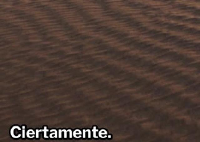 Devocional. 