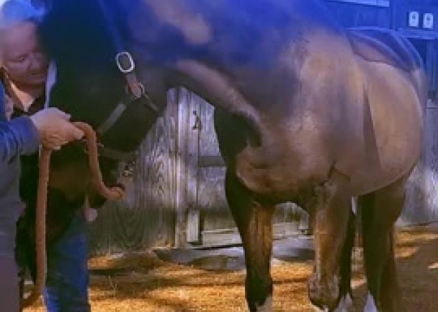 Relaxed Hooves, Happy Heart