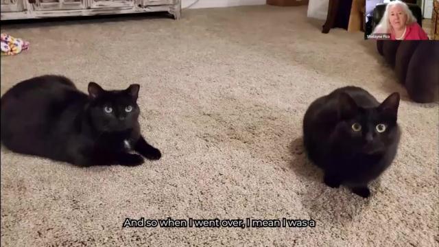 Luna & Trooper’s Scent Test Success