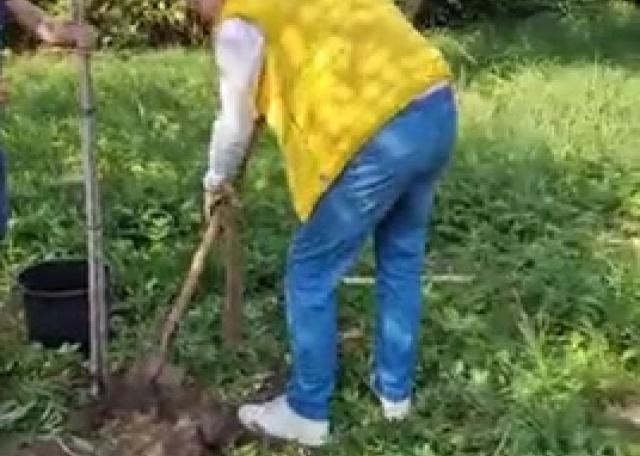 Oelder Freie Demokraten nehmen an Baumpflanzchallenge teil