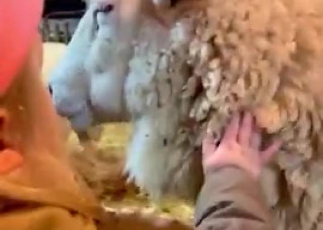 HEUTE: Erlebnisweihnachtsmarkt auf Hof Plümpe