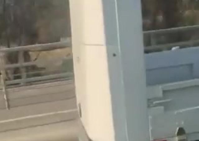 شاحنات كهربائية ذاتية القيادة تجوب طرق الصين 
