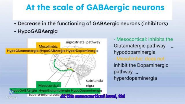 The causes of schizophrenia episode 2