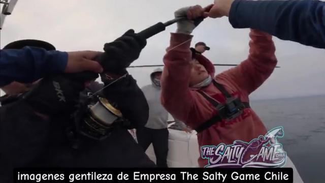 Pesca de Atún de aleta azul en Taltal (Con Caña)