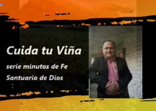 cuida tu viña