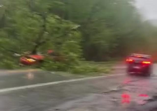 Vermont women drives into tree in Bennington, Vermont 
