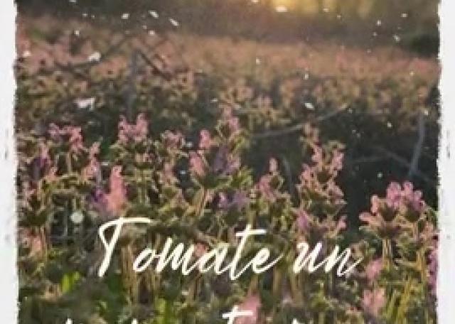 Hasta cuándo dejaras de hacerte daños con químicos?