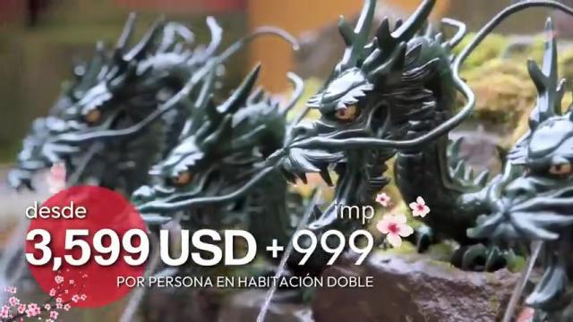 Primavera en japon