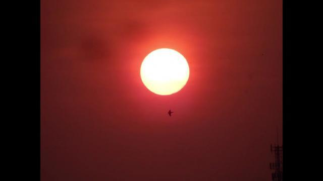 SOL