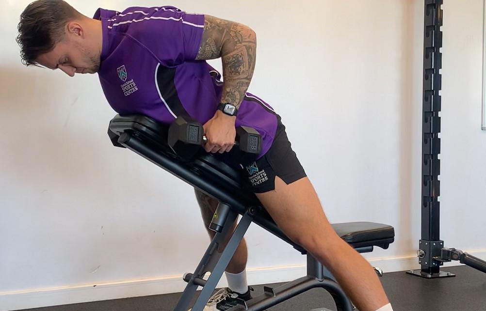 Chest Supported Dumbbell Row