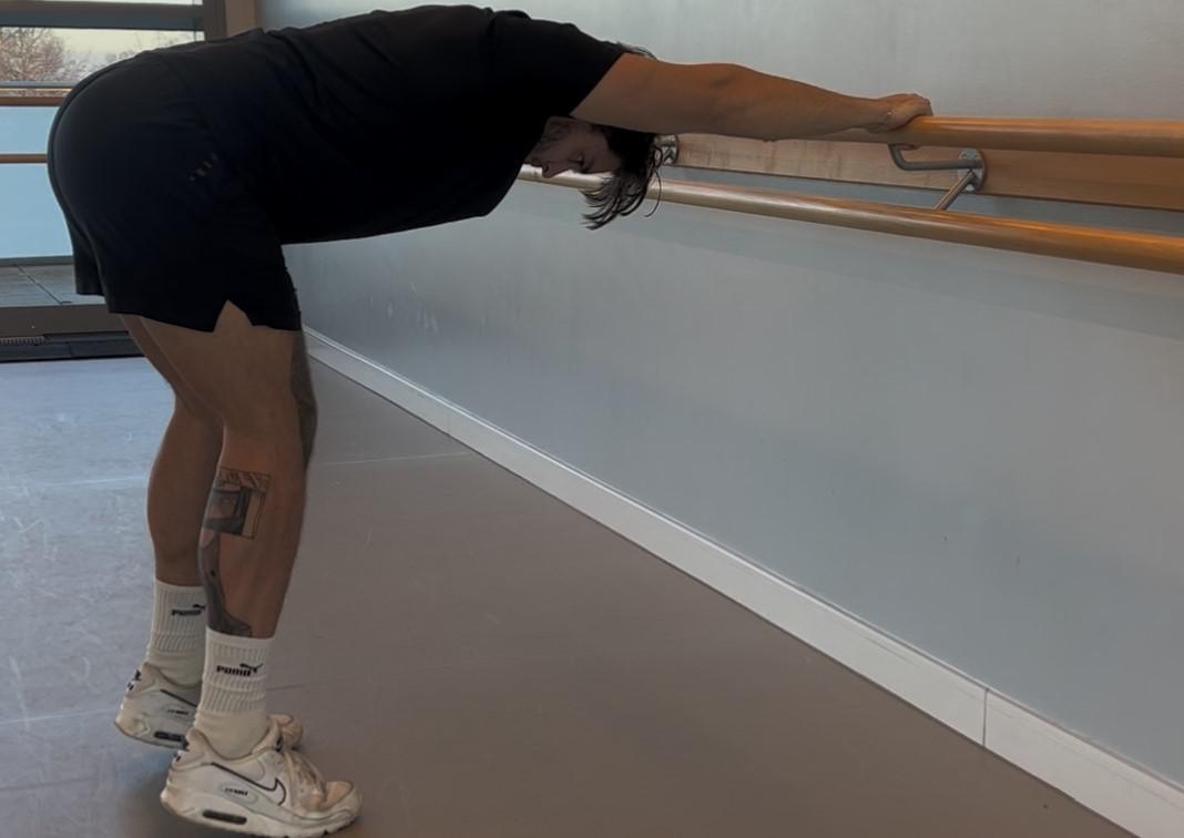Donkey Calf Raise