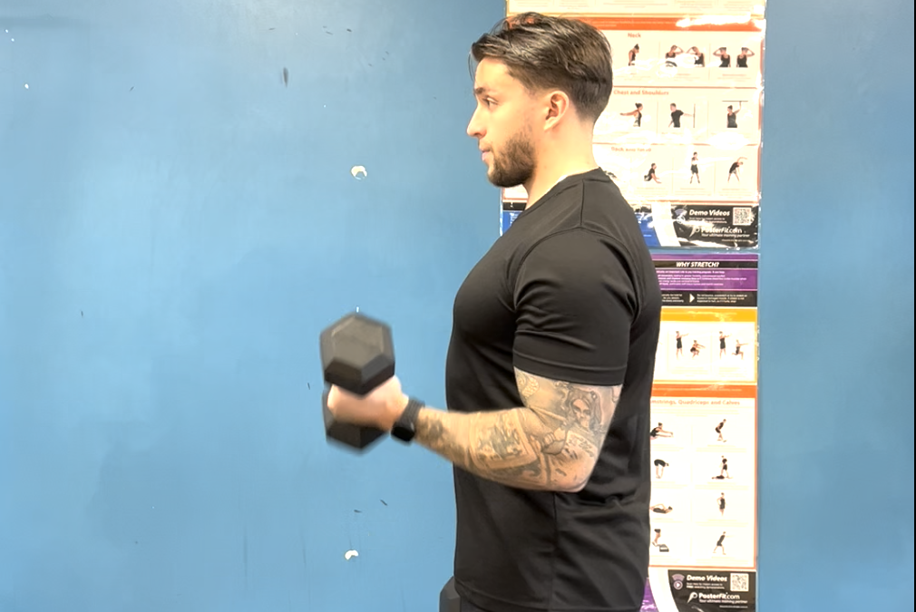 Dumbbell Alternating Twist Curl