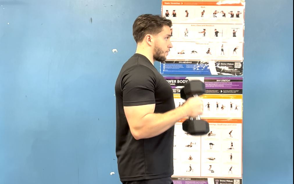 Dumbbell Hammer Curl