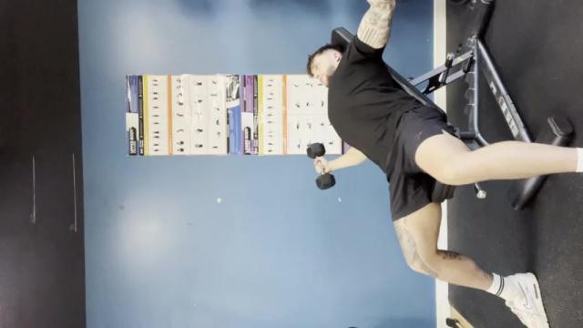 Dumbbell Incline Fly