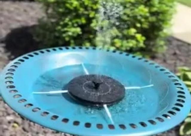 Grabbed this little solar fountain for my bird bath 😍😍
