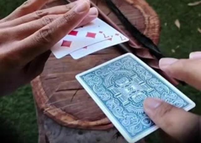 Card Control: Learn Card Magic Fast!