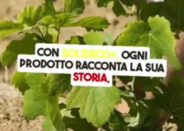 Educazione alimentare e digitale