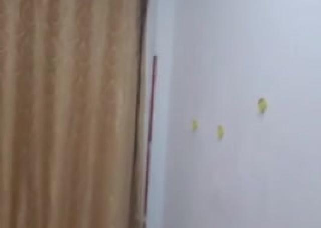 There is girls' accommodation in Al Ain