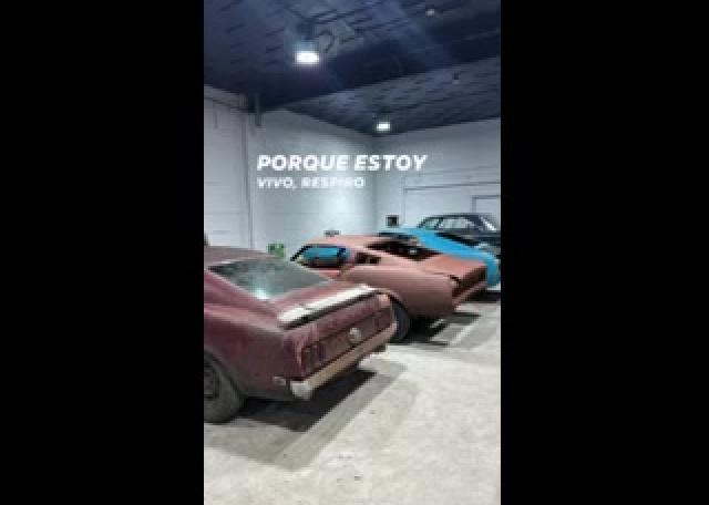 Expert Restoration