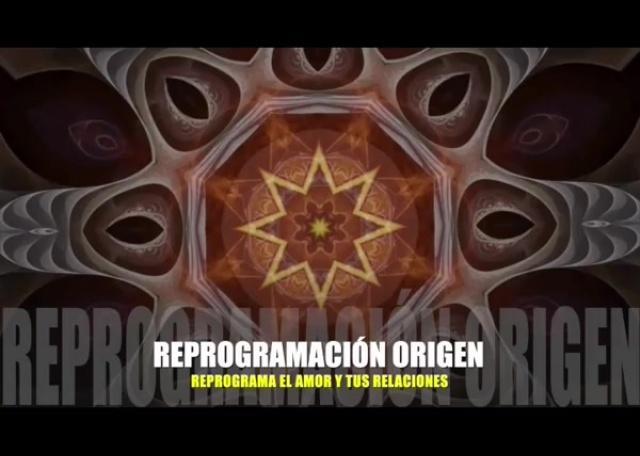 Reprograma el amor y tus relaciones 