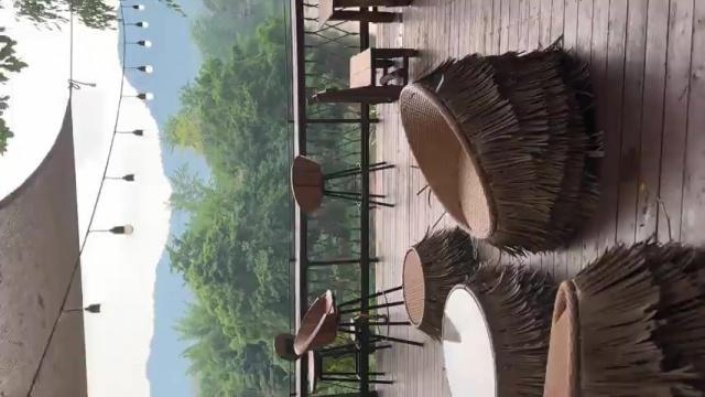 Welcome to the Jungle