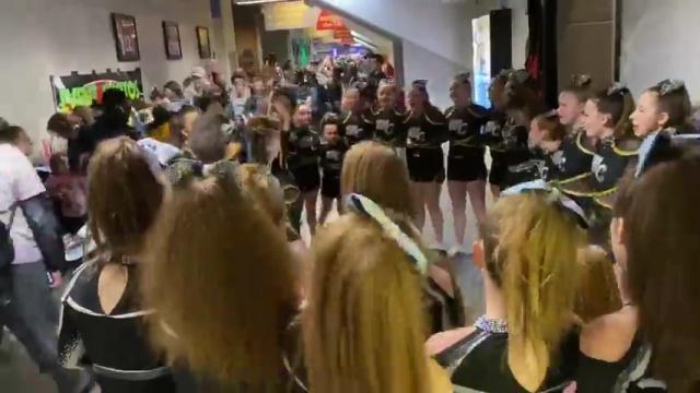 COSMIC RAYS - Lunar Viper Allstars