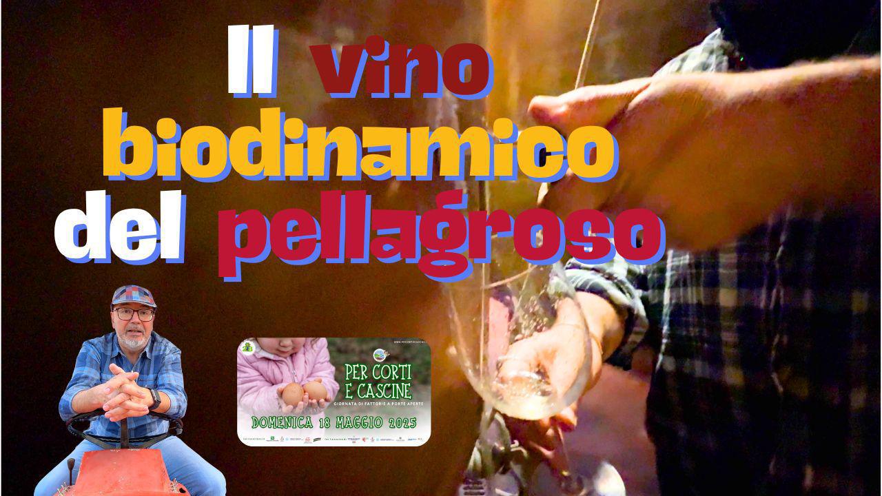 Il Pellagroso, il cornoletame e il vino biodinamico