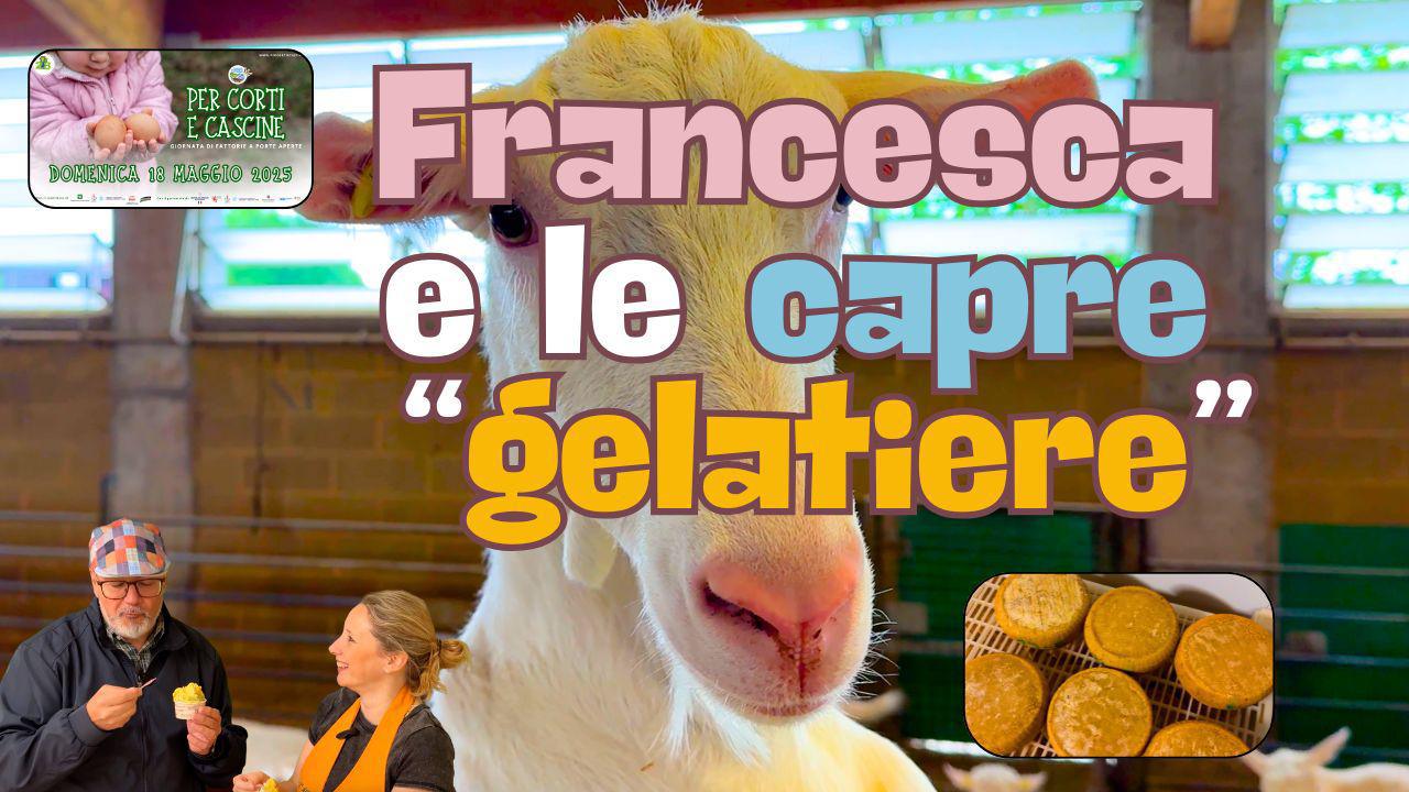 Francesca e le sue capre "Gelatiere" e casare!