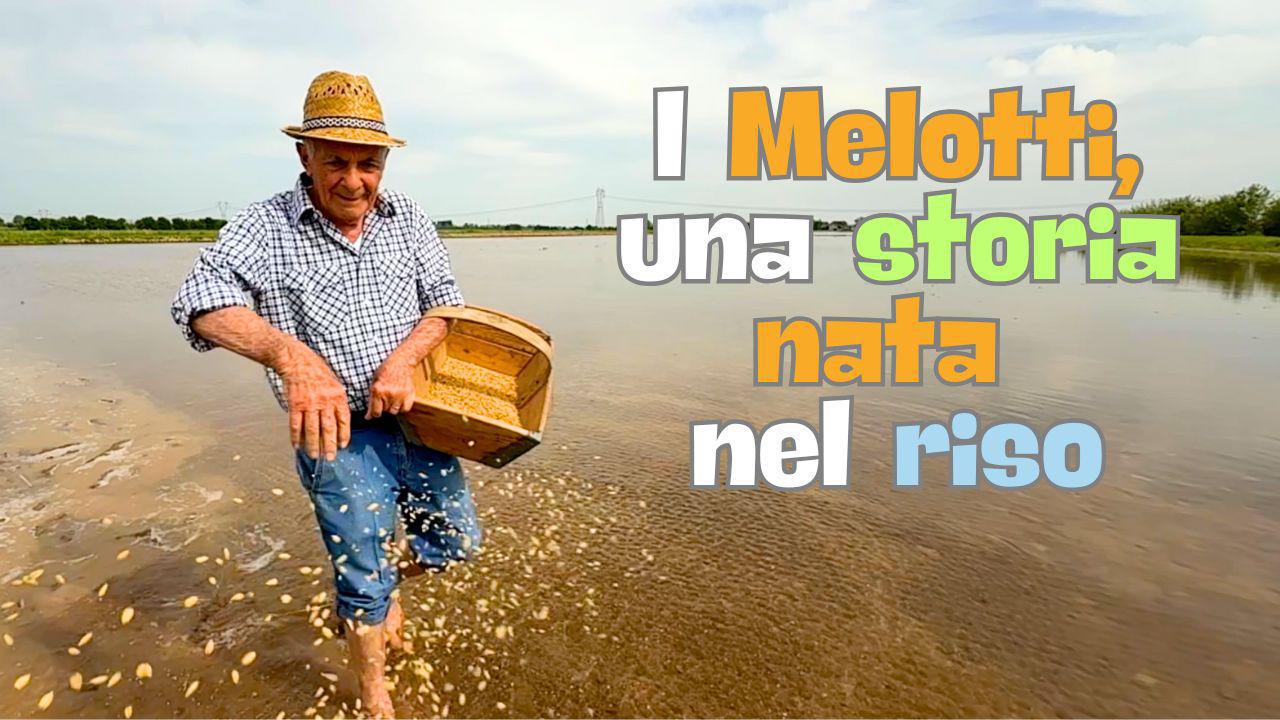 I Melotti, una storia nata nel riso