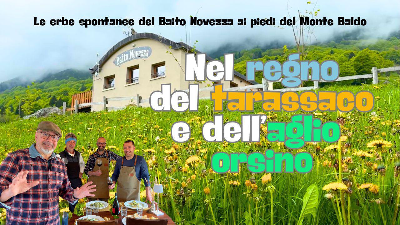 Baito Novezza, nel regno delle erbe spontanee
