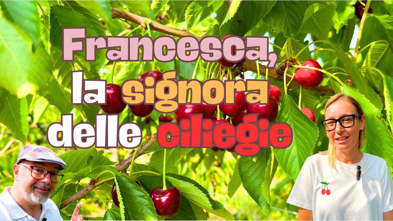 Francesca, la signora delle ciliegie