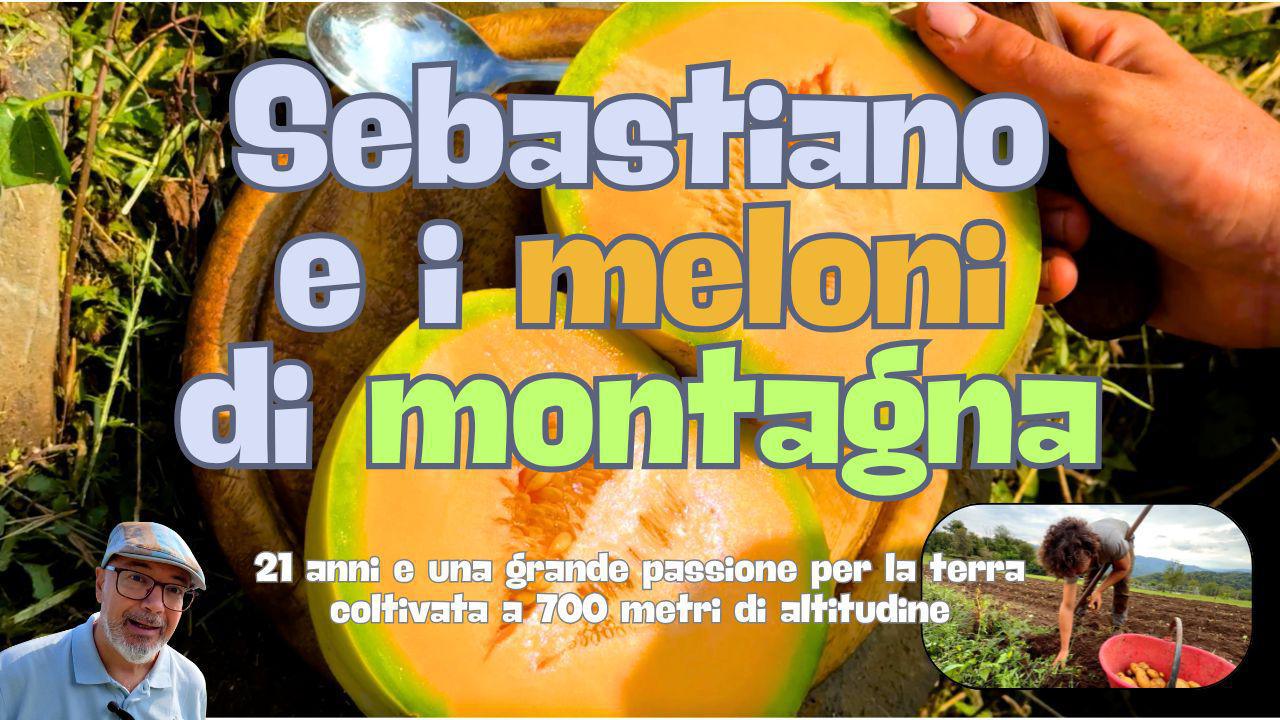 Sebastiano e i meloni di montagna