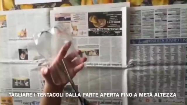 CREATIVE CLIP CHALLENGE n_6: CREA il Polipo FILIPPO