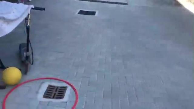 Clip_13: Minibasket - SCOIATTOLI e LIBELLULE – LA PREISTORIA !!!