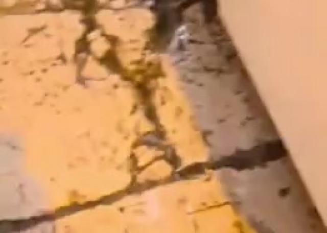 مياهٌ تفيض من القدس… هل هي معجزة نبوئية أم مجرد عاصفة شتوية؟